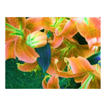 "October Lilies" Poster posters by Yve_13 "October Lilies" Poster posters