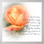 October Peach Rose Poetry Poster October Peach Rose Poetry Poster