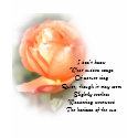 October Peach Rose Poetry Tee shirt