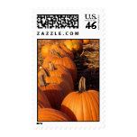 October Pumpkins Stamps