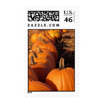 October Pumpkins Stamps