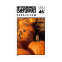 October Pumpkins Stamps