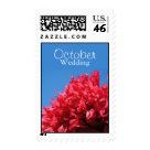 postcard - Red flower against a blue sky postage is perfect for any wedding occasion! Be sure to check out our other wedding postage stamps available! 

                 Each Wedding Month has the same selection of postage. If you would like something custom made or if you want any postage changed in some way, let me know! 