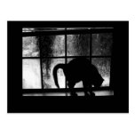 October Showers Cat Silhouette At Window 2 B&W Post Cards