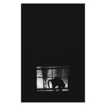 October Showers Cat Silhouette At Window 2 B&W Stationery Design