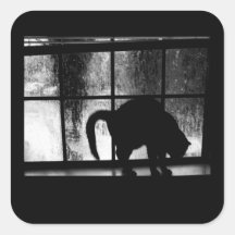 October Showers Cat Silhouette At Window 2 B&W Square Stickers