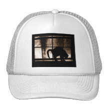 October Showers Cat Silhouette At Window 2 Orange Hats