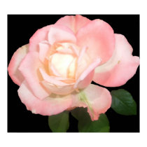 Octoberfest Grandiflora posters by wksimages Octoberfest Grandiflora posters
