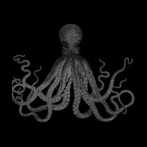 Octopus Babydoll Tee t-shirts