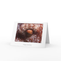 Octopus Eye Birthday Card