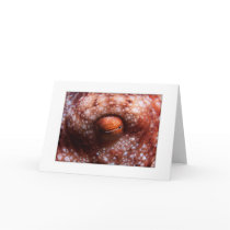 Octopus Eye Greeting Card