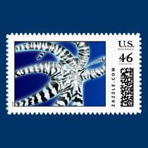 Octopus postage