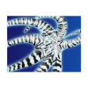 Octopus postcards