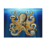 Octopus Postcards
