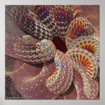 Octopus Print