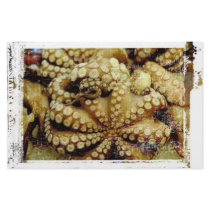 Octopus stationery