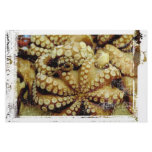 Octopus Custom Stationery