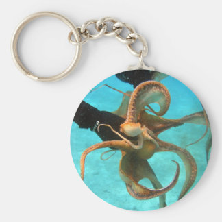 octopus plush key ring