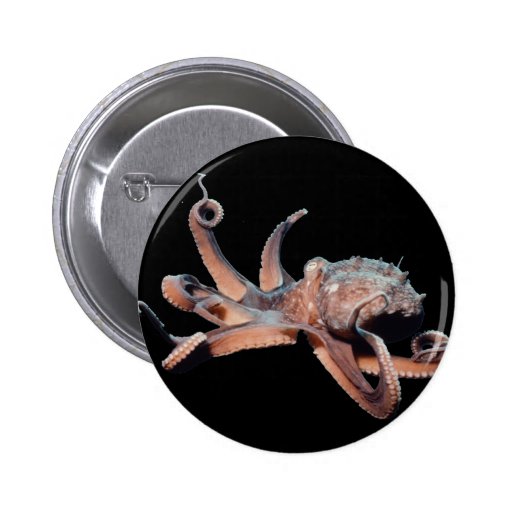 Octopus-Wild Thang Buttons