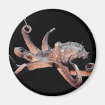 Octopus-Wild Thang Fridge Magnets