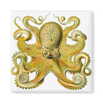 Octopus Yellow Magnet
