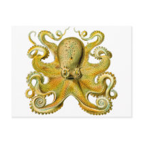 Octopus Yellow Post Card