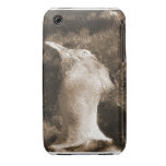 Odd Bird -Mate Case iPhone 3 Case