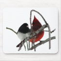 Odd Couple - Birds in the Bush mousepads
