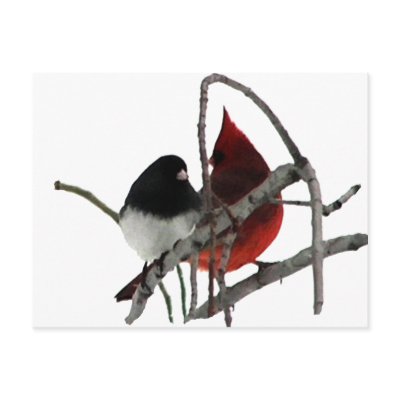 Odd Couple - Birds in the Bush Post Card by kahmier