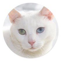 odd eyed white cat stickers by dbvisualarts odd eyed white cat stickers