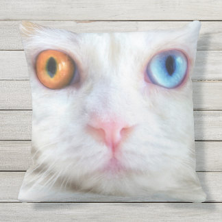 persian cat pillow