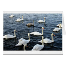 Odd One Out cards