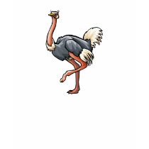 Odetta Ostrich t-shirts