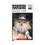 Odie the Pom @ Thanksgiving Stamps