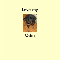 Odin t-shirts