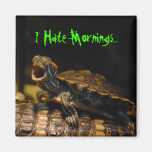 "Odio imán de la tortuga de las mañanas"