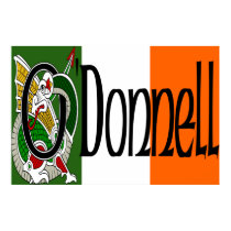O'Donnell Celtic Dragon Print