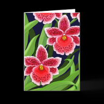 Odontoglossum Orchid Flowers cards