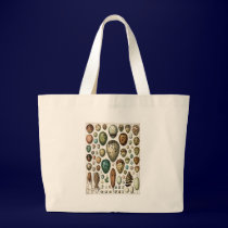 Oeufs bags