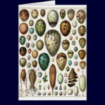 Oeufs cards