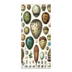 Oeufs Customized Rack Card Oeufs Customized Rack Card