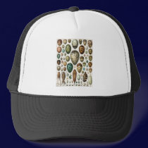 Oeufs hats