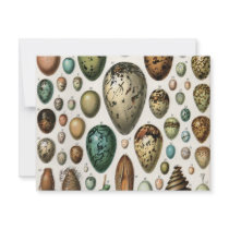 Oeufs invitations