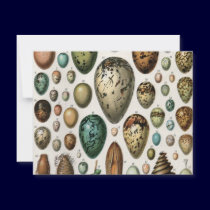 Oeufs invitations