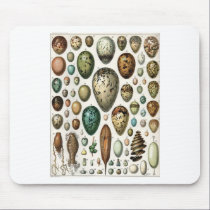 Oeufs mousepads