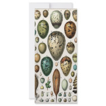 Oeufs rack cards