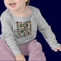 Oeufs t-shirts