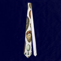Oeufs ties