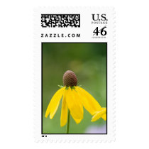 off petal postage