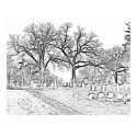 Off the beaten path posters by rigormortuus Off the beaten path posters